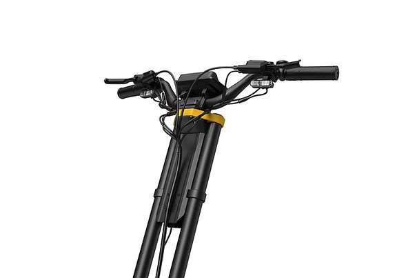 InMotion RS