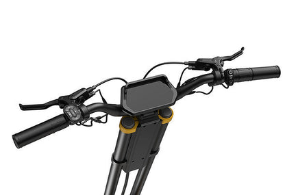 InMotion RS
