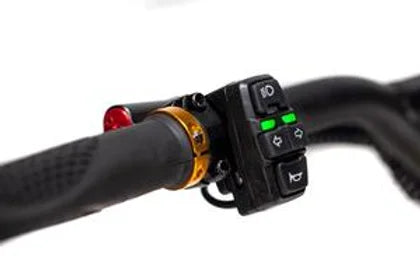 Kaabo Wolf King GT Pro