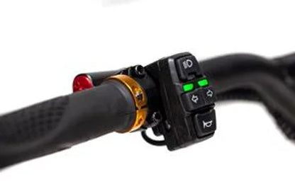 Kaabo Wolf King GT Pro
