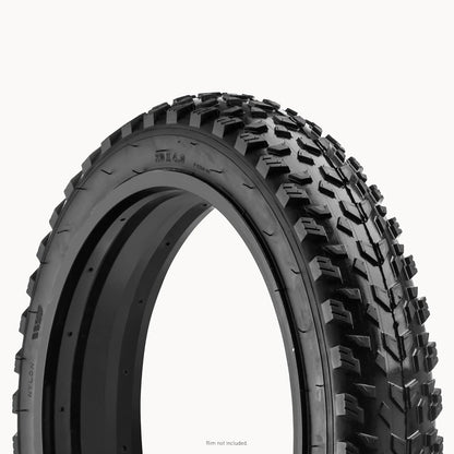 Fat Tire Bike Tire, Mountain Bicycle Tire