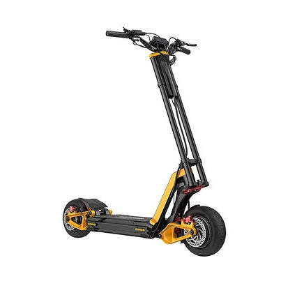 InMotion RS